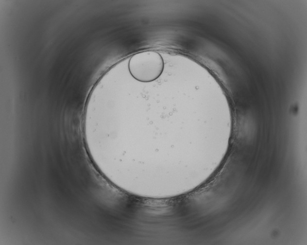 X0000102461338200808080935