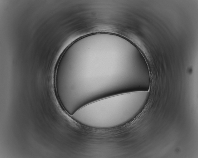 X0000102461339200808080935
