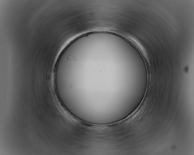 X0000102461340200808080935