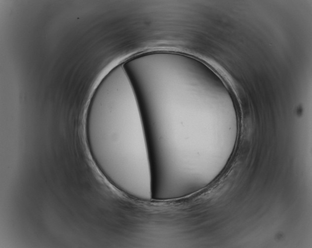 X0000102461341200808080935