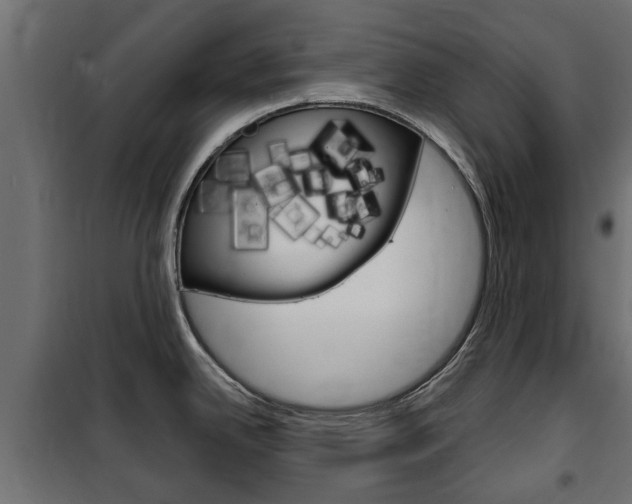 X0000102461342200808080935
