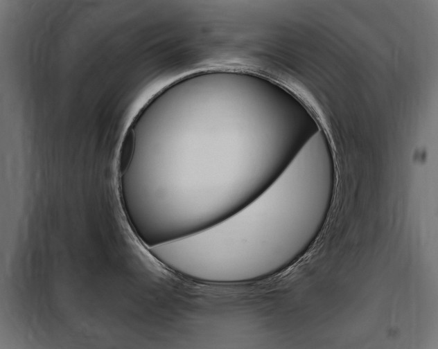X0000102461344200808080935