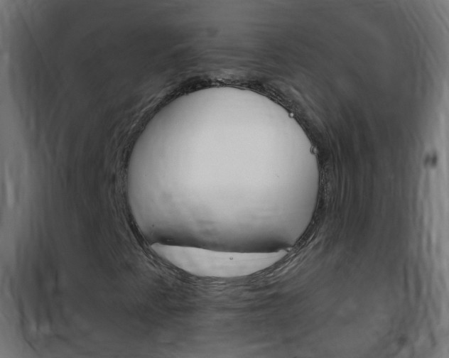 X0000102461345200808080934