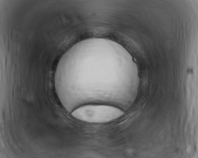 X0000102461346200808080934