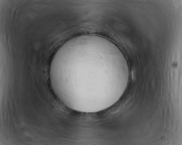X0000102461347200808080934
