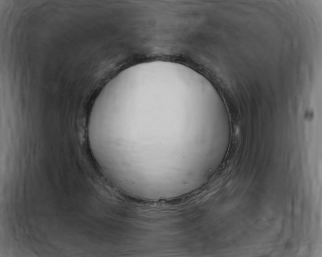 X0000102461348200808080934