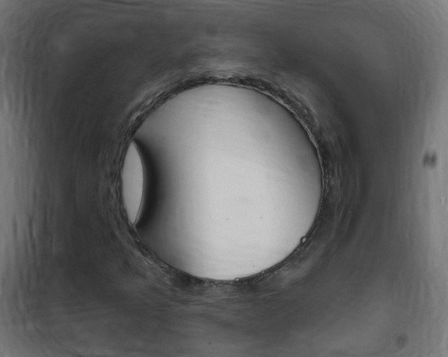 X0000102461349200808080934
