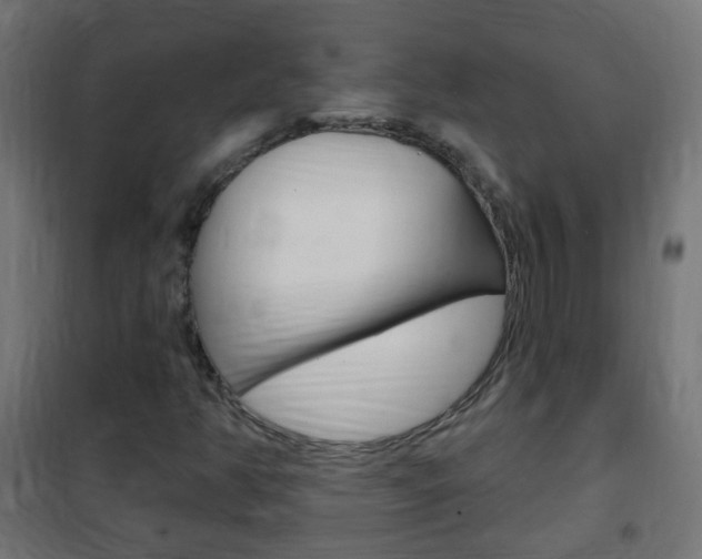 X0000102461350200808080934