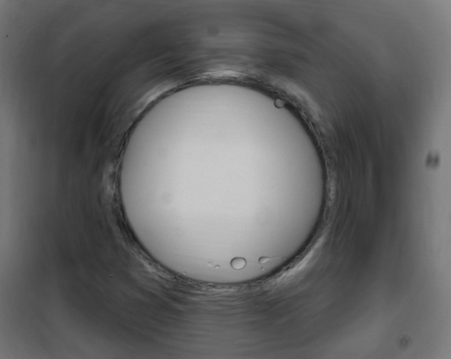 X0000102461353200808080934