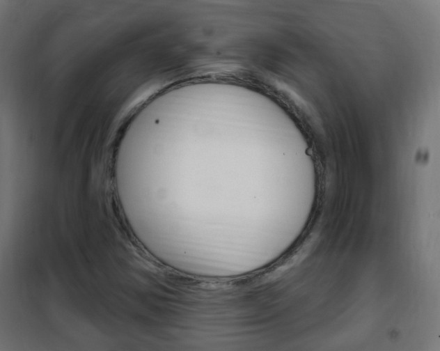 X0000102461354200808080934