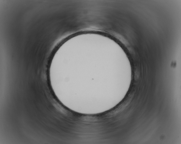 X0000102461356200808080934