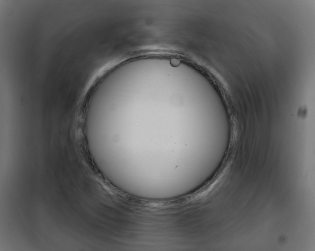 X0000102461357200808080934