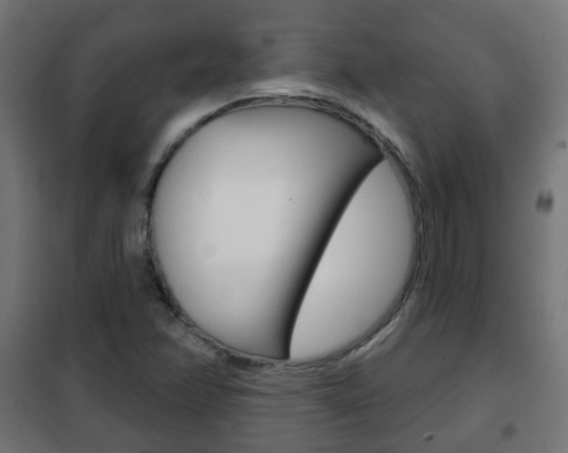 X0000102461358200808080934