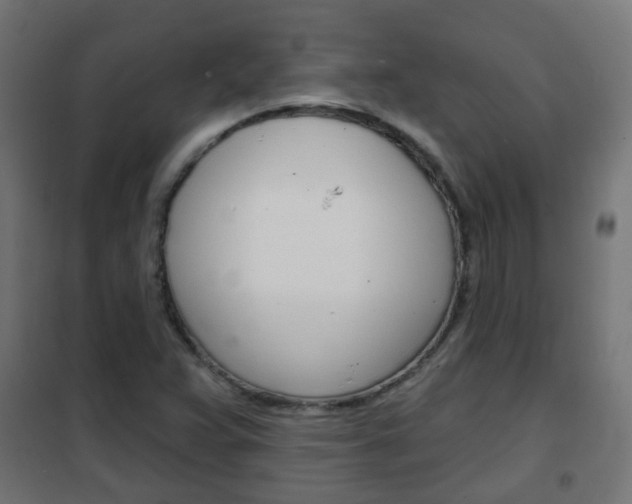 X0000102461359200808080934