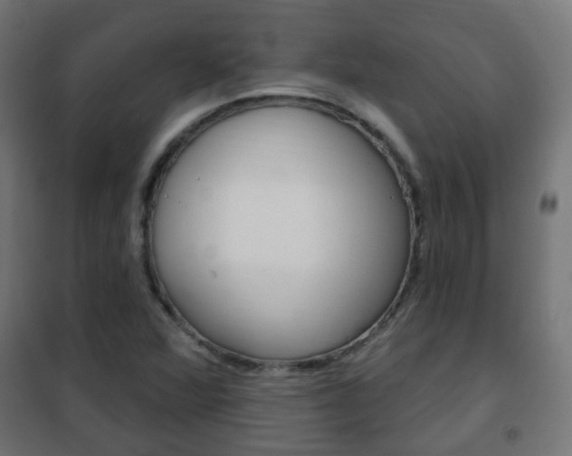 X0000102461360200808080934