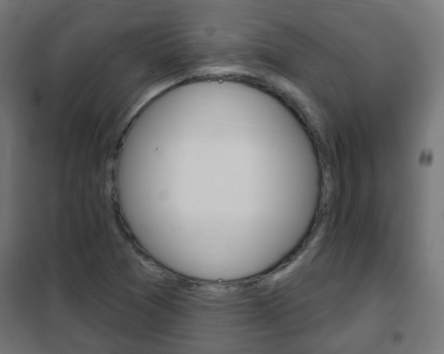 X0000102461361200808080934