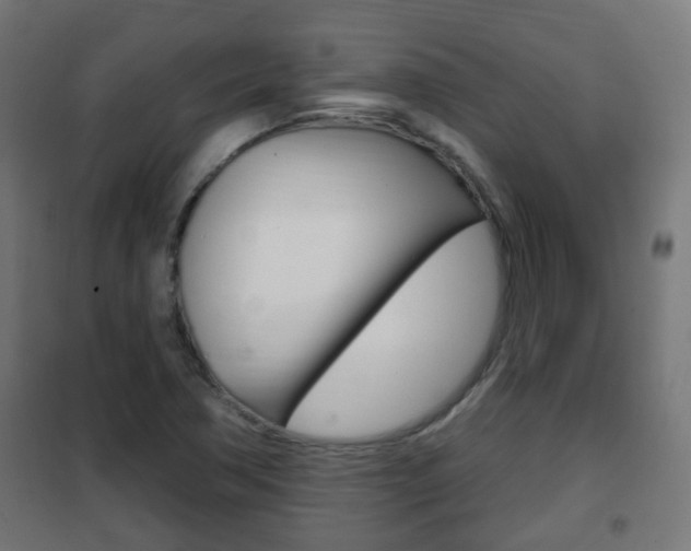 X0000102461362200808080934