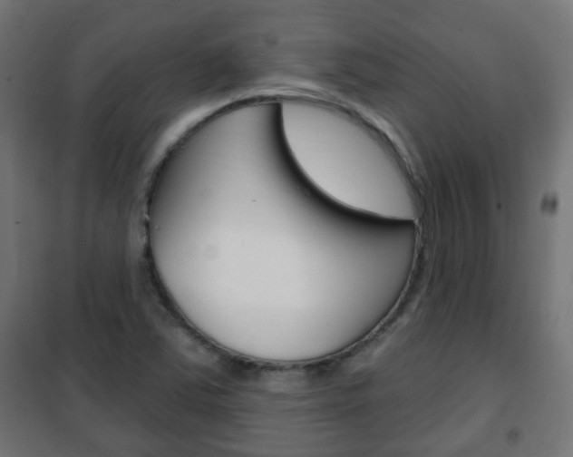 X0000102461363200808080934