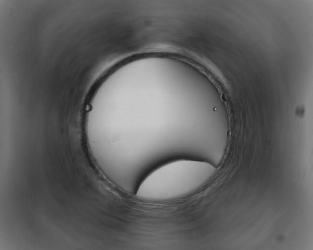 X0000102461364200808080934
