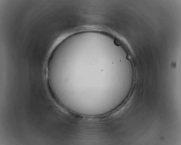 X0000102461365200808080934