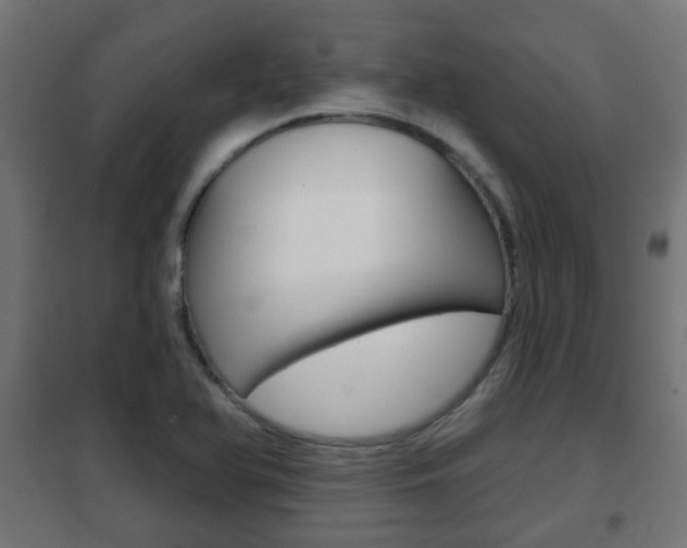 X0000102461366200808080934