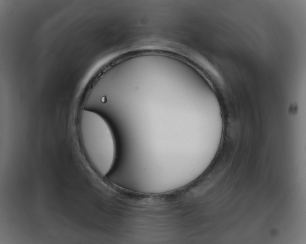 X0000102461368200808080934