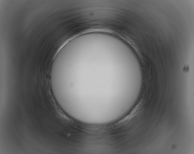 X0000102461369200808080934