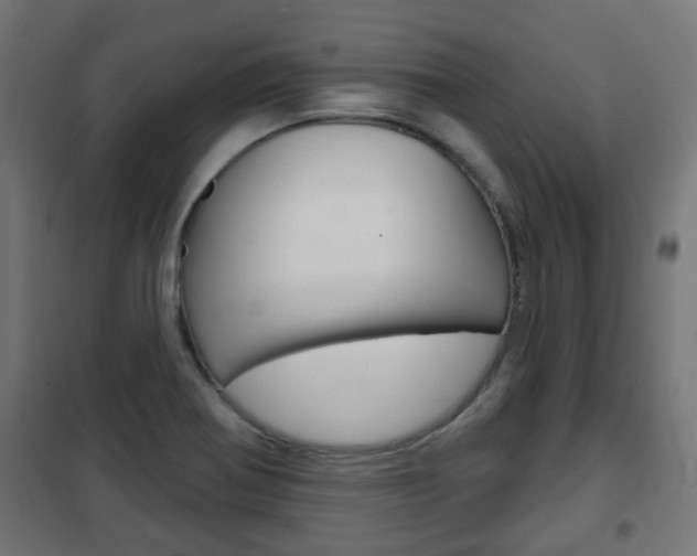 X0000102461370200808080934
