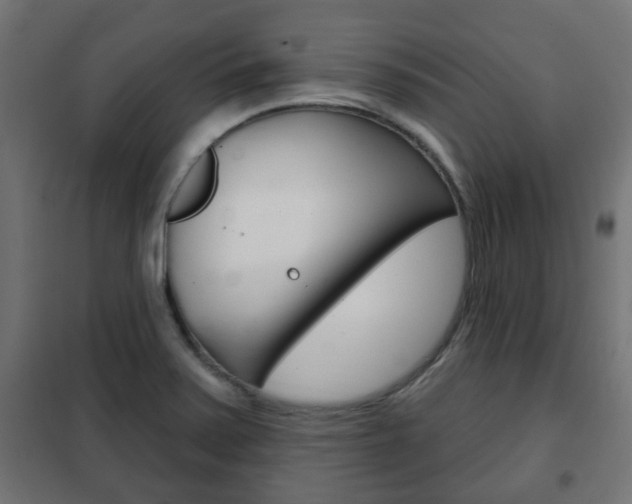 X0000102461371200808080934