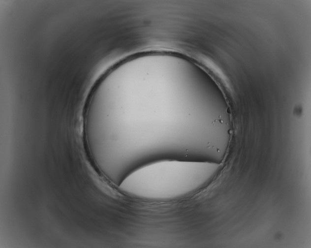 X0000102461372200808080934