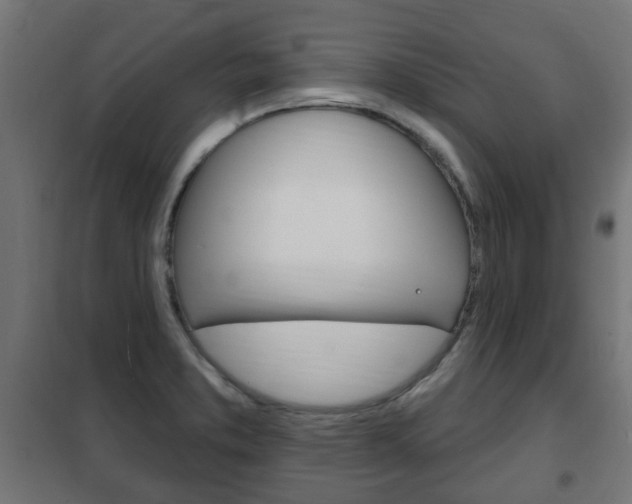 X0000102461373200808080934