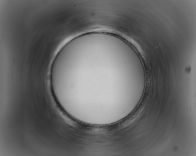 X0000102461375200808080934