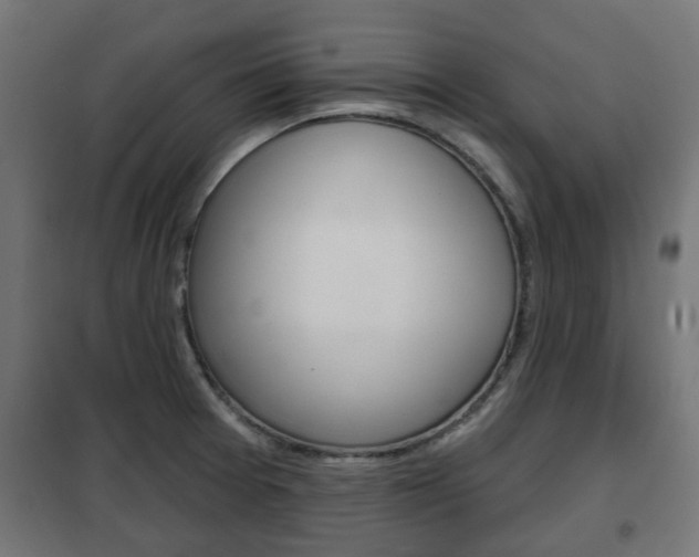 X0000102461377200808080934