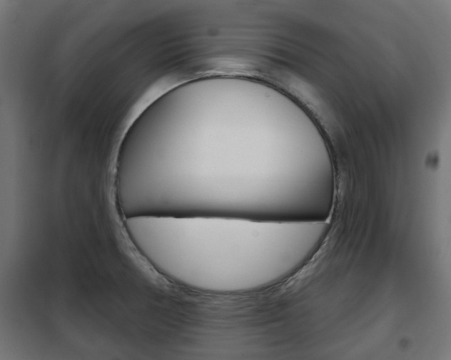 X0000102461378200808080934