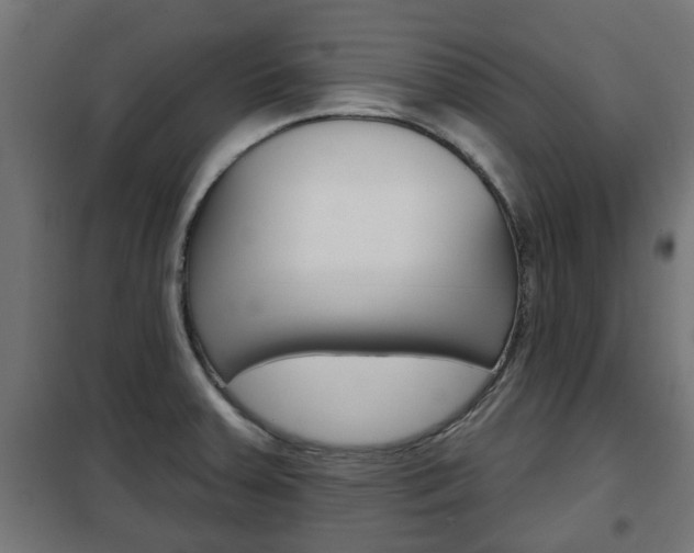 X0000102461379200808080934