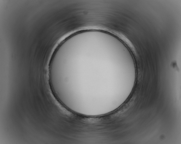 X0000102461380200808080934