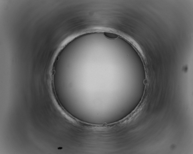 X0000102461381200808080934