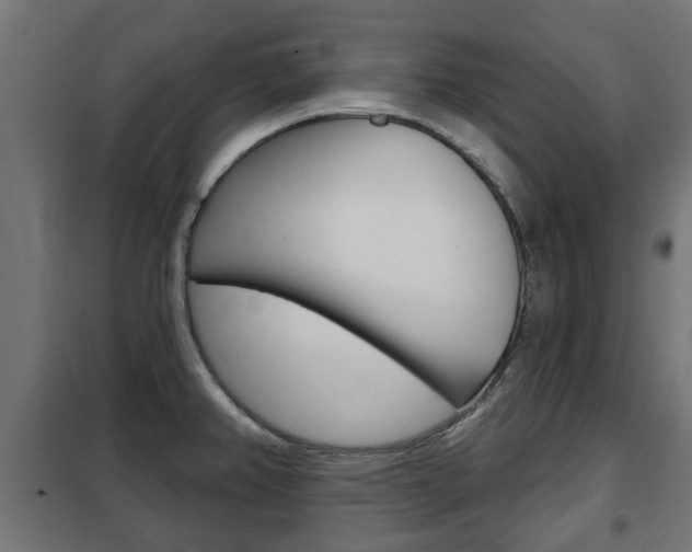 X0000102461382200808080934