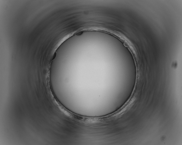 X0000102461385200808080933