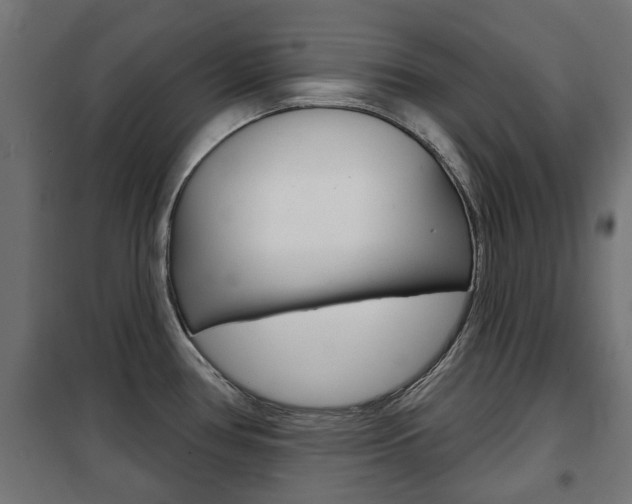 X0000102461386200808080933