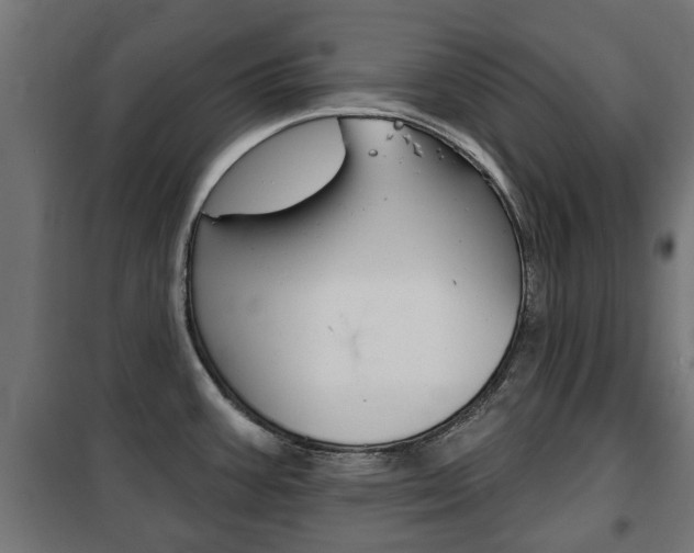 X0000102461387200808080933