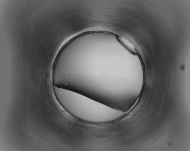 X0000102461388200808080933