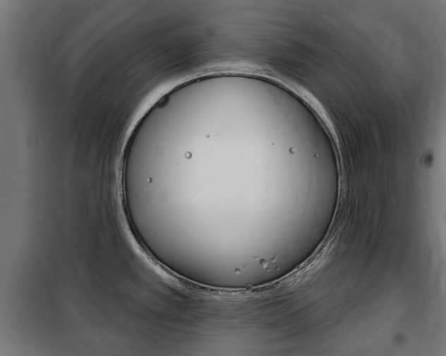 X0000102461389200808080933