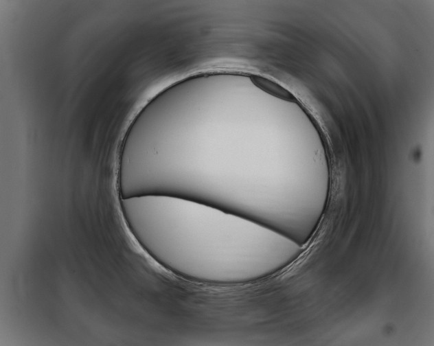 X0000102461390200808080933