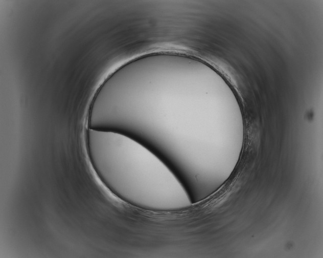 X0000102461391200808080933