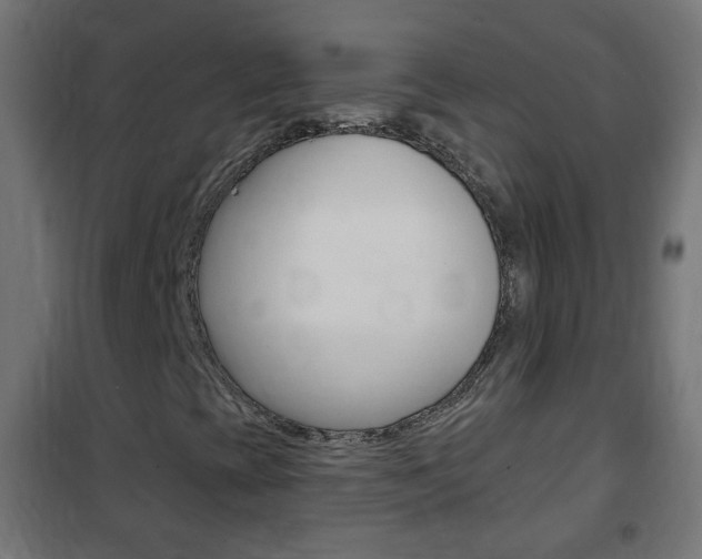 X0000102461393200808080933