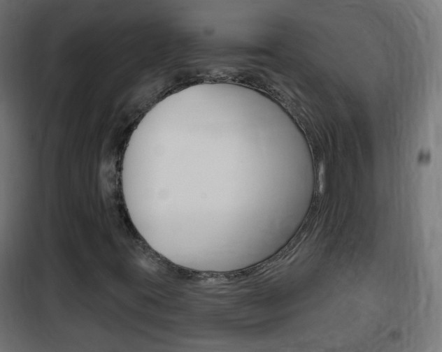 X0000102461395200808080933