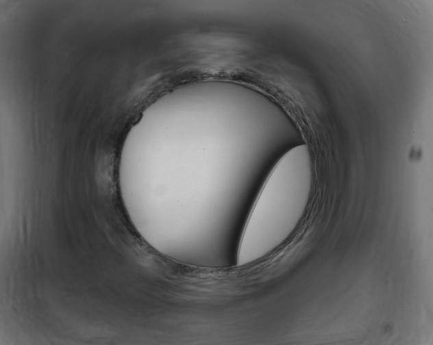 X0000102461396200808080933