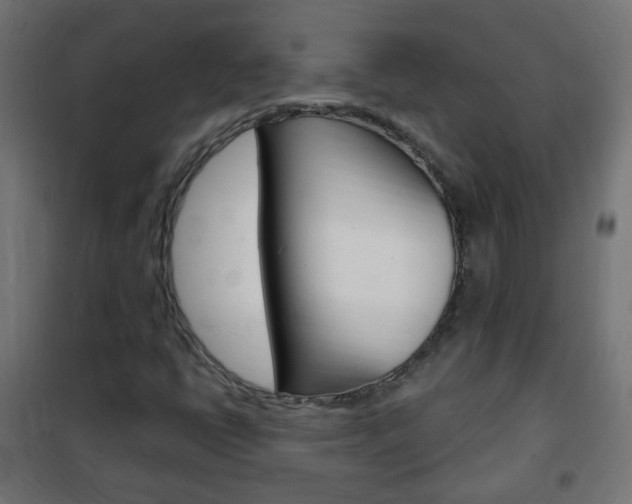 X0000102461398200808080933