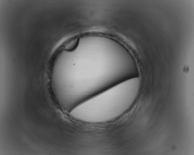 X0000102461400200808080933
